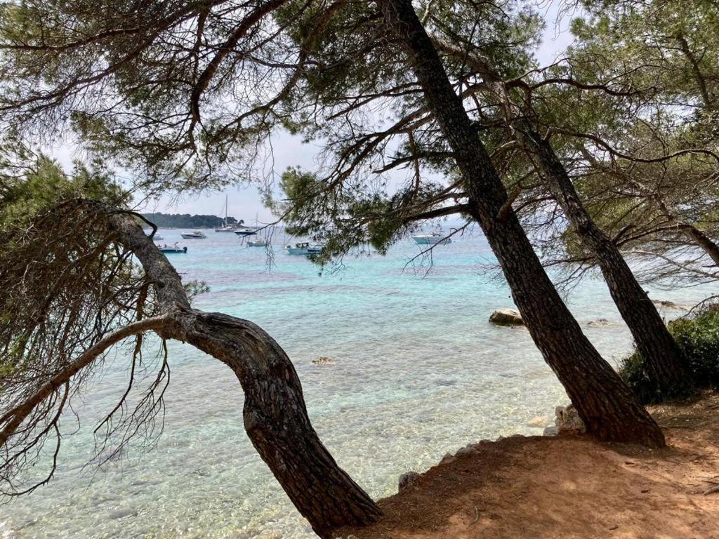 Appartement Centre Croisette Emplacement Exceptionnel Cannes Extérieur photo